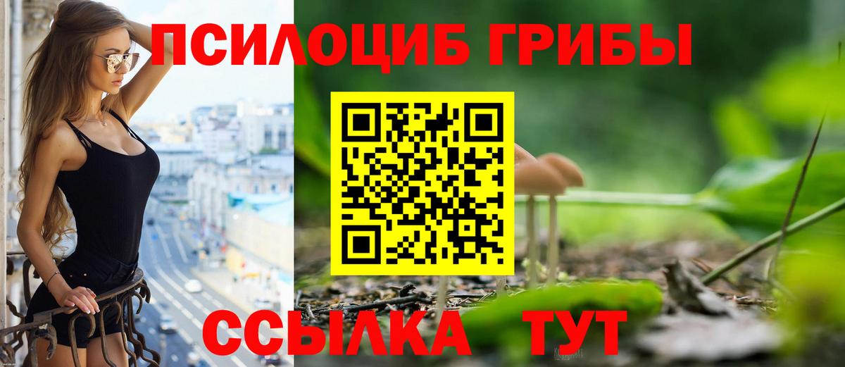 наркотики  Вход с VPN  Кашира  Псилоцибиновые грибы мухоморы 