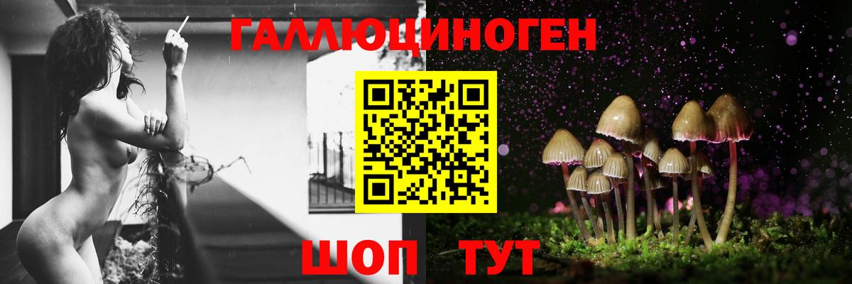 Псилоцибиновые грибы ЛСД Кашира